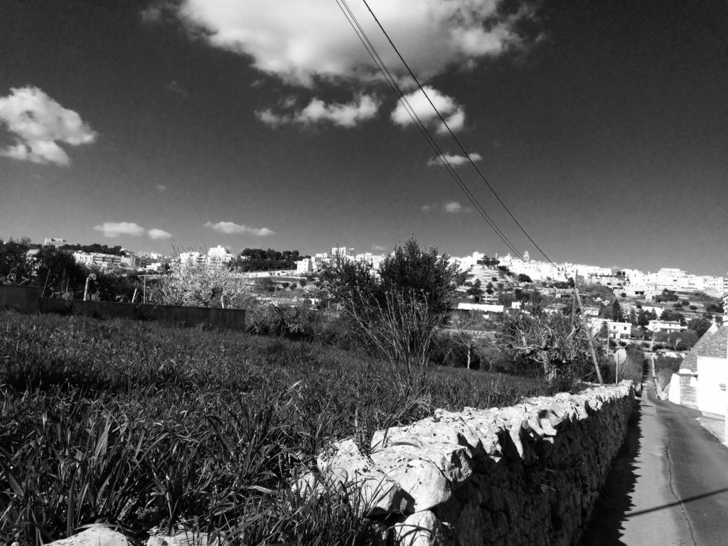 치스테르니노 Il Piccolo Trullo 게스트하우스 객실 사진